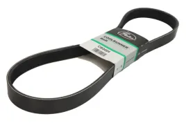 pasek-wieloklinowy-cb0009-gts