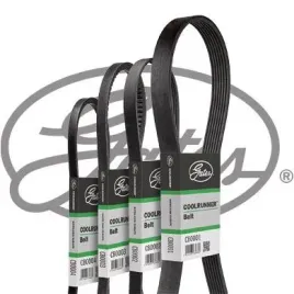 pasek-klinowy-cb0060-gts