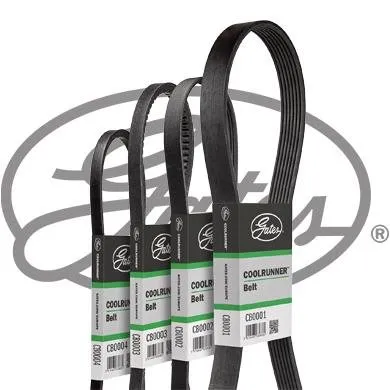 pasek-klinowy-cb0060-gts