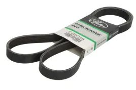 pasek-wieloklinowy-cb0036-gts