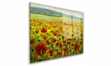 obraz-na-szkle-prostokatny-100x70cm-059-maki