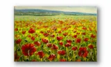 obraz-na-szkle-prostokatny-100x70cm-059-maki-stan-nowy