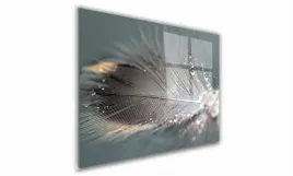 obraz-na-szkle-prostokatny-100x70cm-130-piorko