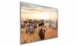 obraz-na-szkle-prostokatny-100x70cm-135-sawanna