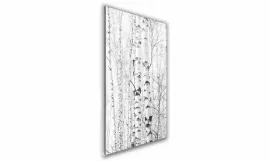 obraz-na-szkle-prostokatny-70x100cm-011-brzozy