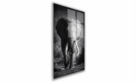 obraz-na-szkle-prostokatny-60x90cm-120-slon