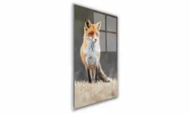 obraz-na-szkle-prostokatny-70x100cm-121-lis