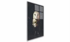 obraz-na-szkle-prostokatny-70x100cm-139-sowa