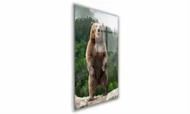 obraz-na-szkle-prostokatny-70x100cm-142-stojacy-niedzwiedz
