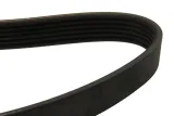 pasek-wieloklinowy-6pk1655-day-stan-nowy