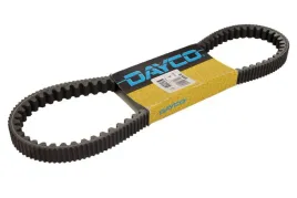 pasek-klinowy-8196k-day