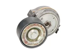 napinacz-paska-wieloklinowego-apv1134-day