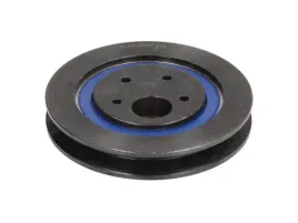 napinacz-paska-wieloklinowego-apv2667-day