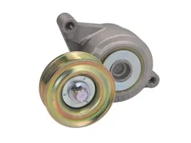 napinacz-paska-wieloklinowego-apv3005-day