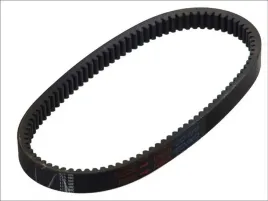 pasek-klinowy-hp2021-day