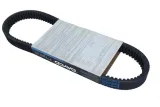 pasek-klinowy-hpx5014-day-stan-nowy