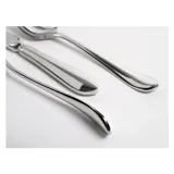 destello-lyzeczka-do-herbaty-verlo-kod-producenta-v-6000-3-12