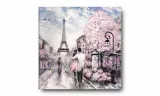 obraz-na-plotnie-080-paryz-60x60cm-stan-nowy