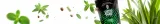 verde-mate-cannabis-absinth-04-kg