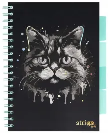 kolozeszyt-pads-b5-100k-kratka-kot