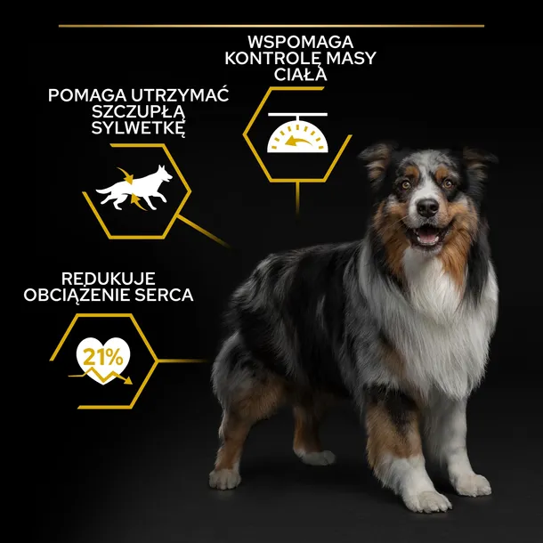 pro-plan-karma-sucha-jagniecina-14-kg-wiek-zwierzecia-psy-dorosle