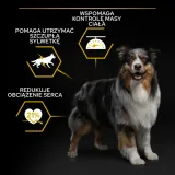 pro-plan-karma-sucha-jagniecina-14-kg-wiek-zwierzecia-psy-dorosle