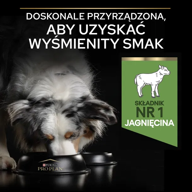 pro-plan-karma-sucha-jagniecina-14-kg-rodzaj-karmy-hipoalergiczna