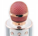 mikrofon-forever-ws-858-model-ws-858-marka-forever