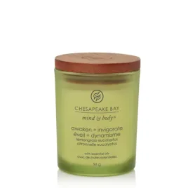 chesapeake-bay-awaken-and-invigorate-swieca-mala-96-gr