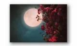 obraz-na-plotnie-049-ksiezyc-90x60cm-stan-nowy
