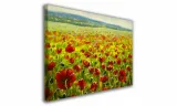 obraz-na-plotnie-059-maki-90x60cm