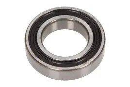 lozysko-6007-2rs1-skf