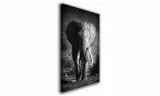 obraz-na-plotnie-120-slon-60x90cm
