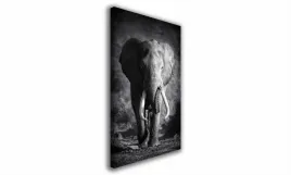 obraz-na-plotnie-120-slon-60x90cm