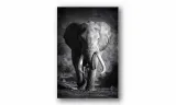obraz-na-plotnie-120-slon-60x90cm-stan-nowy