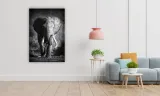 obraz-na-plotnie-120-slon-60x90cm-szerokosc-cm-51-60