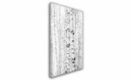obraz-na-plotnie-011-brzozy-70x100cm