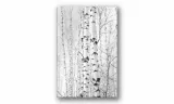 obraz-na-plotnie-011-brzozy-70x100cm-stan-nowy