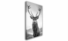 obraz-na-plotnie-013-czarno-bialy-jelen-70x100cm