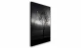 obraz-na-plotnie-024-drzewo-70x100cm