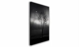 obraz-na-plotnie-024-drzewo-70x100cm