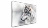 obraz-na-plotnie-028-glowa-wilka-100x70cm