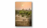 obraz-na-plotnie-033-indie-70x100cm-stan-nowy