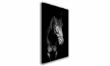 obraz-na-plotnie-074-kon-70x100cm