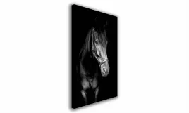obraz-na-plotnie-074-kon-70x100cm