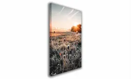 obraz-na-plotnie-075-oset-70x100cm