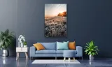 obraz-na-plotnie-075-oset-70x100cm-szerokosc-cm-91-100