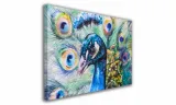 obraz-na-plotnie-081-paw-100x70cm