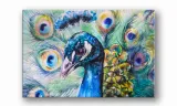 obraz-na-plotnie-081-paw-100x70cm-stan-nowy