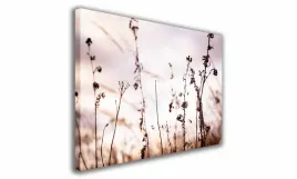 obraz-na-plotnie-085-polne-kwiaty-100x70cm